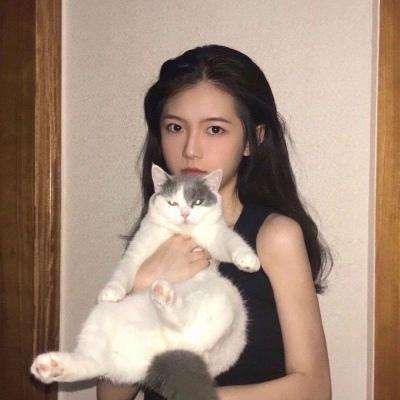 猎魔人果盘版下载